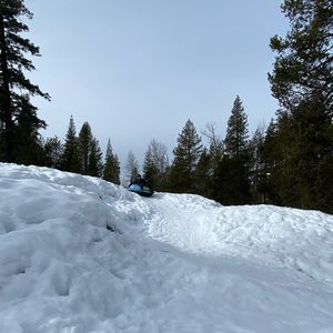 Meet your Posher, Scott